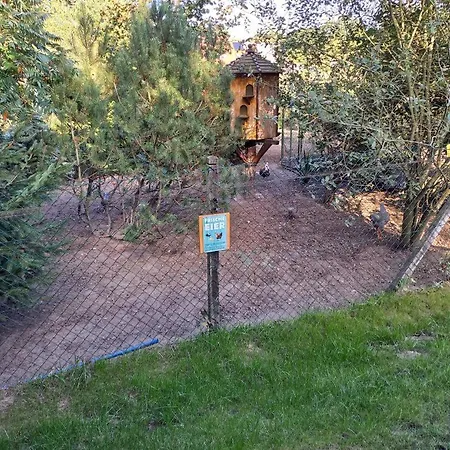 Neu! Am Ferienhaus